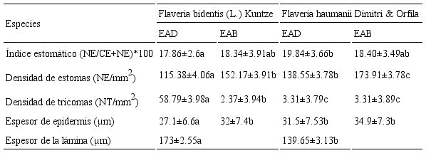 Índice estomático, densidad de estomas y tricomas, y espesor de epidermis y lámina en Flaveria bidentis (L.) Kuntze y F. haumanii Dimitri & Orfila. EAD: epidermis adaxial, EAB: epidermis abaxial, NE: número de estomas, CE: número de células epidérmicas, NT: número de tricomas. Letras distintas indican diferencias significativas (p<0.05).