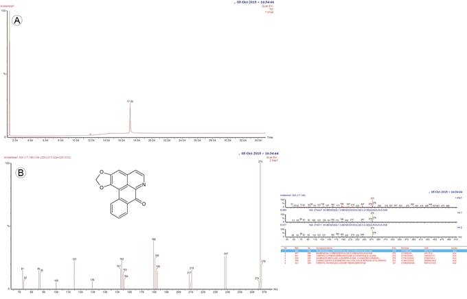 Analytical GC-MS chromatogram of liriodenine alkaloid isolated Sapranthus microcarpus (Donn. Sm.) R.E. Fr. A. the retention time of compound is 17.196 min using the GC-MS method we set; B. chemical structure and EM-MS fragmentation pattern of liriodenine (8H-Benzo(g)-1,3-benzodioxolo(6,5,4-de)quinolin-8-one).