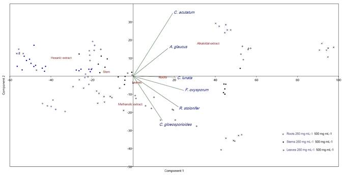 Principal component analysis of antifungal activity of Sapranthus microcarpus (Donn. Sm.) R.E. Fr. PCA bi-plot based on fungal inhibition percent of three types of extracts in two concentrations from three plant tissues. PC1 and PC2 accounted for over 80% of the total variance. The arrows indicate the direction of maximum correlation by fungus species.