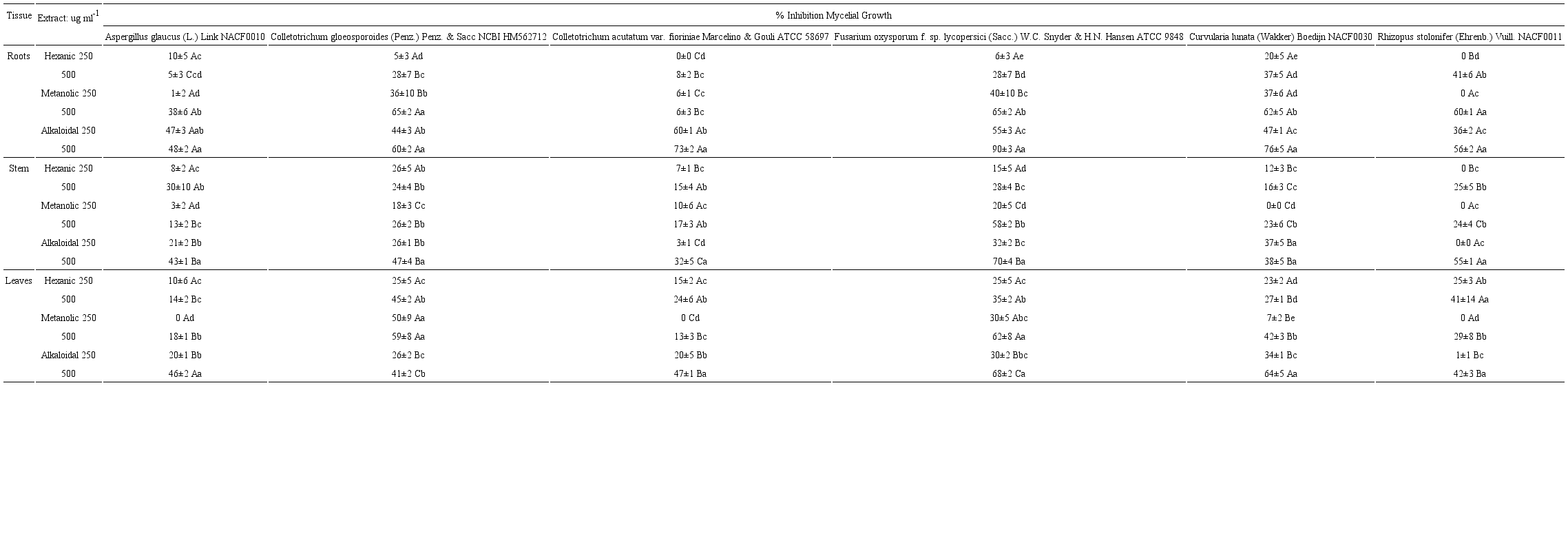 Antifungal activity of extracts from Sapranthus microcarpus (Donn. Sm.) R.E. Fr. The values are means ± DE (n=6). The separation of groups was performed with the Mann-Whitney test (p<0.05). Capital letters represent comparisons in columns, and lowercase letters represent comparisons in rows.