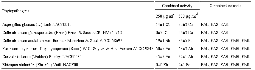 Antifungal activity of the combined extracts of Sapranthus microcarpus (Donn. Sm.) R.E. Fr. Combined extracts. E=Extract; A=Alkaloidal, M=Methanolic; L=Leaf; S=Stem; R=Root. The values are means ± DE (n=6). The separation of groups was performed with the Mann-Whitney test (p<0.05). Capital letters represent comparisons in columns, and lowercase letters represent comparisons in rows.