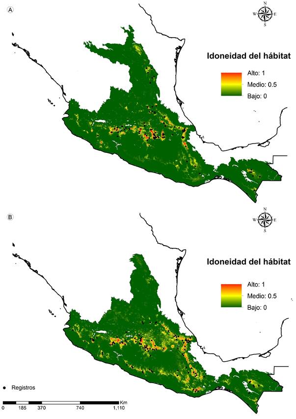 Proyección geográfica de la modelación potencial de nicho ecológico para Pinus montezumae Lamb. (A) y P. pseudostrobus Lindl. (B) respectivamente.