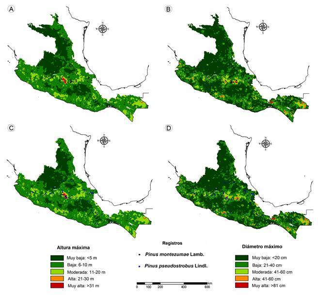Calidad de sitio, modelado con datos dasométricos de altura y diámetro normal para Pinus montezumae Lamb. (A y B) y P. pseudostrobus Lindl. (C y D) en México.