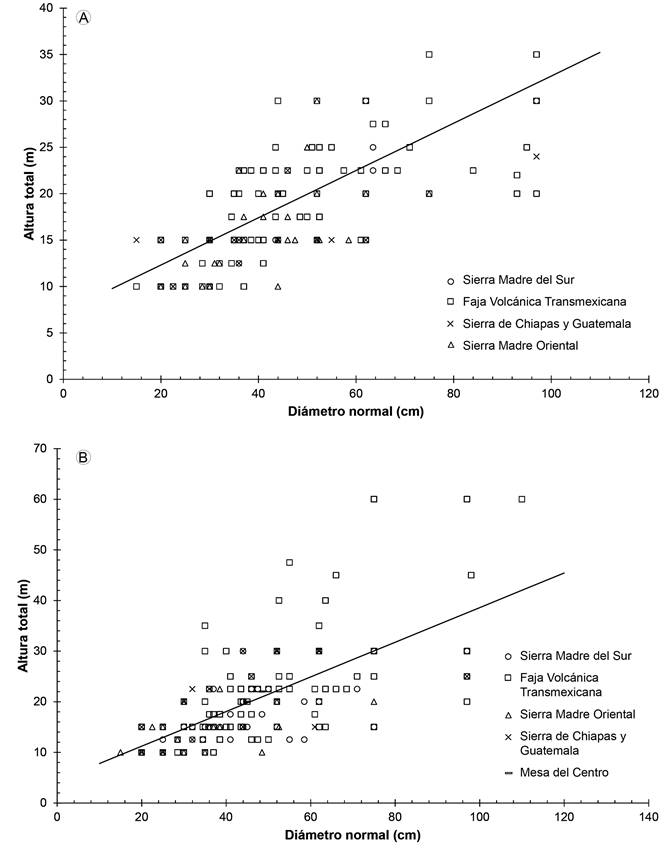 Asociación de variables dasométricas de los árboles distribuidos en diferentes provincias fisiográficas de México. A. relación entre el diámetro normal y altura para Pinus montezumae Lamb. (y=7.229+0.255x; r=0.794); B. relación entre el diámetro y altura para P. pseudostrobus Lindl. (y=4.372+0.342x; r=0.728).