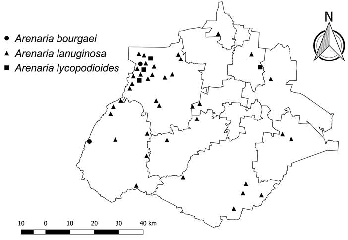 Distribución de especies del género Arenaria L.
								presentes en Aguascalientes.