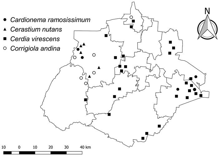 Distribución de Cardionema ramosissimum (Weinm.)
								A. Nelson & J.F. Macbr., Cerastium nutans Raf.,
									Cerdia virescens Moq. & Sessé ex DC. y
									Corrigiola andina Planch. & Triana en el
								estado de Aguascalientes.