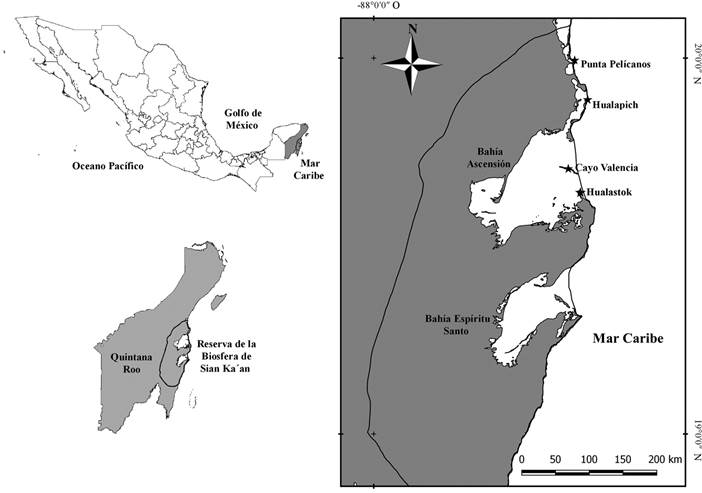 Ubicación de las localidades de muestreo de tres especies del
								Orden Bryopsidales en Quintana Roo, México.