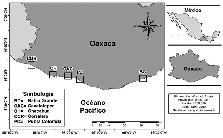 Localidades de muestreo en la costa de Oaxaca, México.