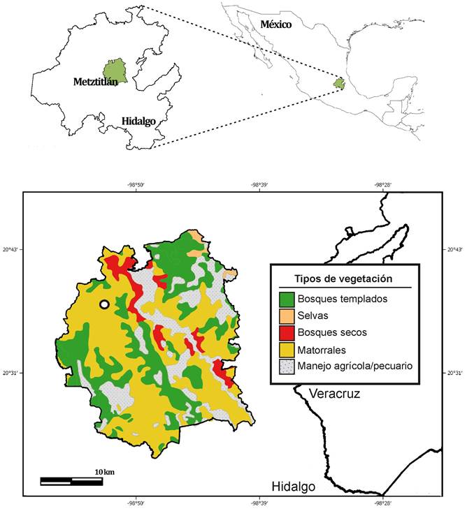 Distribución geográfica y tipo de vegetación de Rogiera metztitlensis Torr.-Montúfar, E. Solano, L. Morales-Gard. & H. Ochot., el círculo indica la localidad tipo y en amarillo el matorral donde se recolectó la especie (CONABIO, 1999; modificado por Torres-Montúfar).