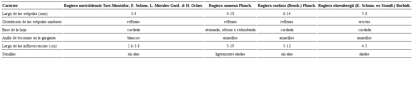 Comparación morfológica entre Rogiera metztitlensis Torr.-Montúfar, E. Solano, L. Morales-Gard. & H. Ochot., Rogiera amoena Planch., Rogiera cordata (Benth.) Planch. y Rogiera ehrenbergii (K. Schum. ex Standl.) Borhidi.