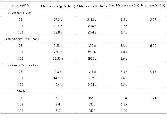 Acumulación de materia seca y contenido de N en tres especies del
							genero Lupinus L. durante el crecimiento. Promedios
							seguidos por la misma letra dentro de cada columna indican que no son
							significativamente diferentes (p≤0.05). Dds=Días despues de la
							sembra.
