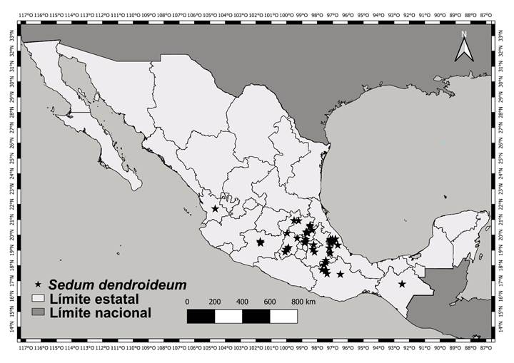 Distribucin de Sedum dendroideum DC. en Mxico. Elaborado en QGIS v. 3.18 (QGIS Development Team, 2023).