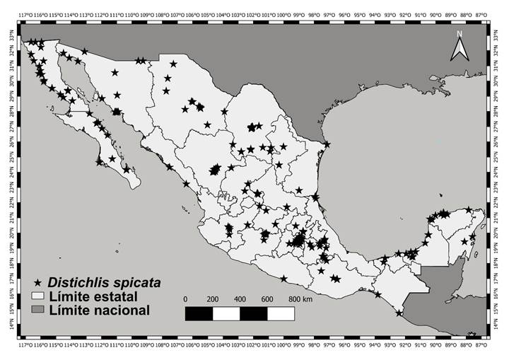 Distribucin de Distichlis spicata L. en Mxico. Elaborado en QGIS v. 3.18 (QGIS Development Team, 2023).