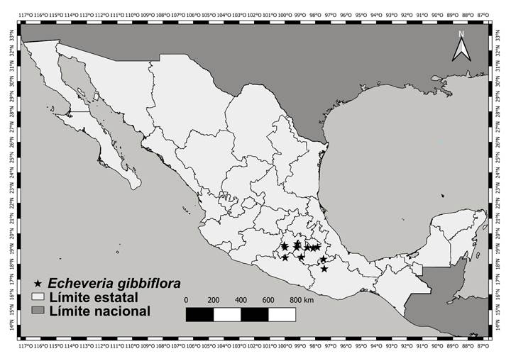 Distribucin de Echeveria gibbiflora DC. en Mxico. Elaborado en QGIS v. 3.18 (QGIS Development Team, 2023).