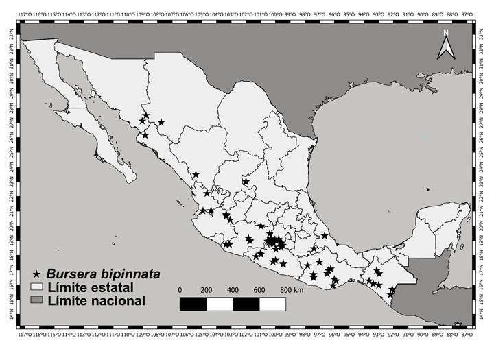 Distribucin de Bursera bipinnata (DC.) Engl. en Mxico. Elaborado en QGIS v. 3.18 (QGIS Development Team, 2023).