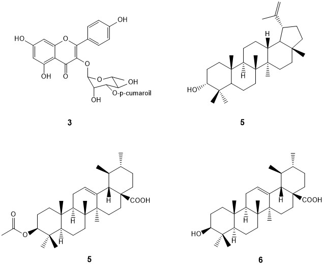Luteolin-3′-O- (3′′-O-E-p-coumaroil)-α-L-ramnopiranosido (3), 3-Epilupeol (4), α-amirina acetato (5) y α -amirina (6). Elaborado en ChemDraw Professional v. 17.0 (Chemdraw Professional, 2022).