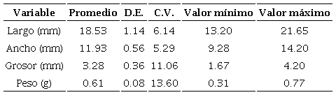 Medidas de tendencia central y dispersión para la caracterización morfométrica de semillas de Peltogyne mexicana Martínez, en la localidad Tierra Colorada, municipio Juan R. Escudero, Guerrero, México. N = 500; D.E. = Desviación estándar; C.V. = Coeficiente de variación.