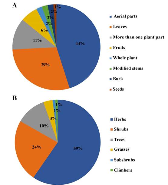 Characteristics of the plants used as herbal medicines by the Nasa ethnic group of Jambaló, Cauca, Colombia. A. plant part used; B. growth habit.