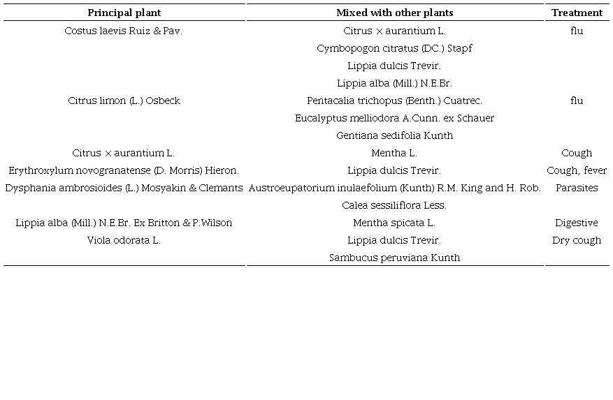 Association of medicinal plants in medicinal mixtures among the Nasa ethnic group in Jambaló, Cauca, Colombia.
