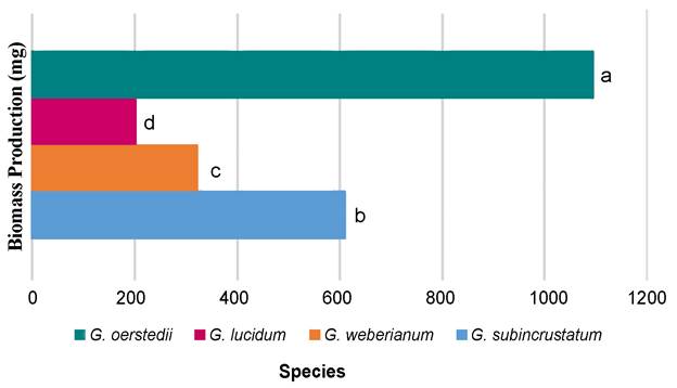 Biomass production of the different strains of Ganoderma spp. (p<0.05).