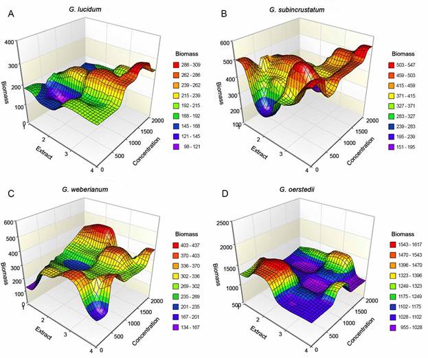 Response surface analysis. A. Ganoderma lucidum (Curtis) P. Karst. (FP-34D); B. Ganoderma subincustratum Murrill (BH-1); C. Ganoderma weberianum (Bres. & Henn. ex Sacc.) Steyaert (BH-21); D. Ganoderma oerstedii (Fr.) Murrill (BH-17). Biomass (mg); type of extracts: 1: control, without extracts; 2: polar (ethanol:aqueous, 1:1); 3: polar and non-polar (ethanol-aqueous:toluene-chloroform, 3:1); 4: all extracts (toluene:chloroform:ethanol:aqueous, 1:1:1:1); concentration: 0, 500, 1000, 1500, and 2000 &micro;g/l.