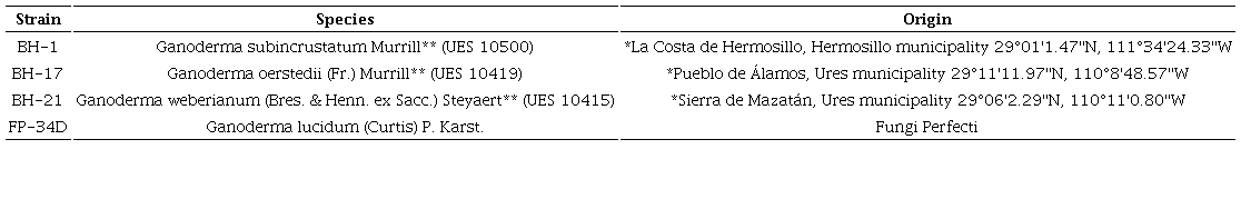 Ganoderma spp. strains evaluated. *Localities belong to the Sonoran desert. **Vouchers are deposited in the Mushroom Collection of Universidad Estatal de Sonora (UES), Mexico.