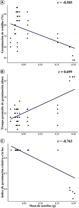 A. correlaci&oacute;n de Pearson de masa de semillas (g) y germinaci&oacute;n de semillas; B. masa de semillas y tiempo promedio de germinaci&oacute;n de semillas (d&iacute;as); C. masa de semillas con &iacute;ndice de germinaci&oacute;n relativa a la luz, con valores significativo a una probabilidad de p<0.0001.