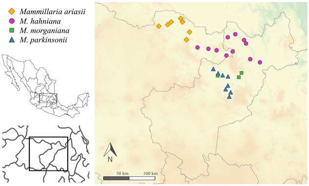 Distribuci&oacute;n geogr&aacute;fica de Mammillaria ariasii U. Guzm&aacute;n & D. Aquino y miembros de M. ser. Leucocephalae (Lem.) Schum. incluidos en el an&aacute;lisis comparativo.