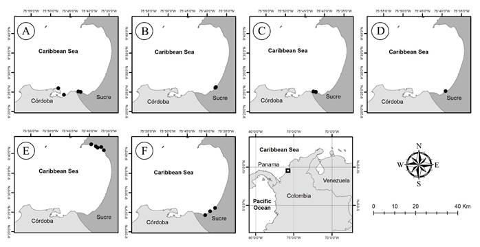 Sampling sites in different studies in the Gulf of Morrosquillo, Colombia. A. Quir&oacute;s-Rodr&iacute;guez et al. (2010); B. Sampedro-M. et al. (2012); C. Quir&oacute;s-Rodr&iacute;guez et al. (2013); D. Meneses and Rivera (2014); E. Quintana-M. and Mercado-G&oacute;mez (2017); F. new records for this study. The works by Schnetter (1976; 1978), Pati&ntilde;o and Fl&oacute;rez (1993), and D&iacute;az-Pulido and D&iacute;az-Ru&iacute;z (2003) were not added to the map because they do not have the coordinates, making their location in the Gulf uncertain.