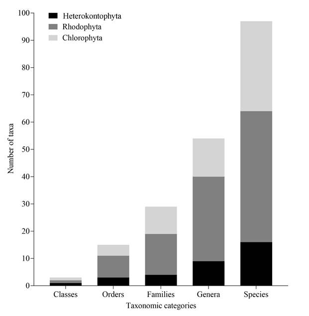 Number of records in the Gulf of Morrosquillo, Colombia, according to different taxonomic levels.