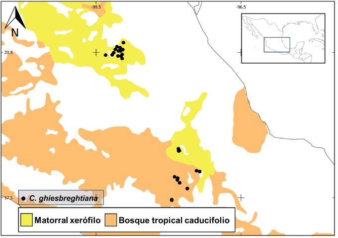 Mapa de distribución por tipo de vegetación de Coutaportla ghiesbreghtiana (Baill.) Urb.