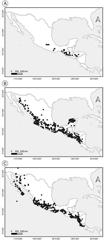 Geographic distribution pattern of species of the clades related to Urostephanus B.L. Rob. & Greenm.; A. distribution of Urostephanus; B. distribution of Dictyanthus Decne.; C. distribution of Polystemma Decne.
