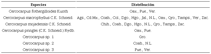 Especies putativas examinadas del complejo Cercocarpus fothergilloides y su distribución. Los nombres de los estados donde se distribuyen fueron abreviados de acuerdo con INEGI (2020).