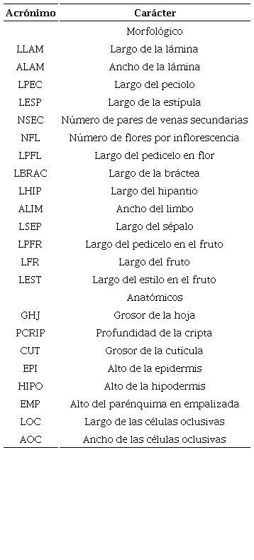 Caracteres morfológicos y anatómicos utilizados en los Análisis discriminante Canónico y sus acrónimos.