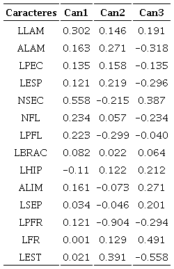 Coeficientes canónicos de los Análisis Discriminantes Canónicos de los caracteres morfológicos. En negritas se indican los caracteres que mejor discriminan a los grupos. Los acrónimos corresponden a los que están citados en el Cuadro 2.