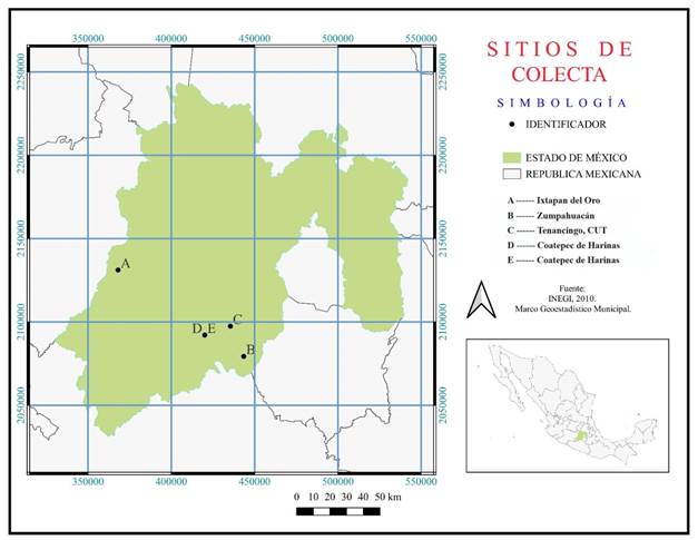 Distribuci�n de colectas, de A. Persea sp. Ixtapan del Oro; B. Persea sp. Zumpahuac�n; C. Persea americana var. drymifolia (Schltdl. & Cham.) S.F. Blakey; D. Persea floccosa Mez; E. Persea tolimanensis Zentmyer & Schieb. Mapa de INEGI (2010) modificado en el programa QGIS Development Team v. 3.22 (QGIS Development Team, 2023), por Kenya Ibeth Carre�o Gonz�lez y Mar�a Eugenia Valdez P�rez.