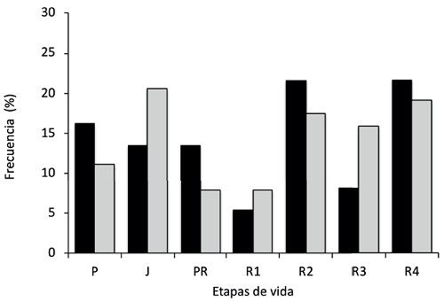 Distribuci�n de individuos de card�n (Pachycereus pringlei Britton & Rose) en etapas de vida en dos condiciones de uso distintos en la Bah�a de La Paz, Baja California Sur, M�xico. Barras negras: presencia de ganado, barras grises: exclusi�n de ganado por 27 a�os. Basada en 20 transectos de 50 � 2 m en cada escenario. Etapas de vida: P: pl�ntulas, <50 cm; J: juveniles, 51-175 cm; PR: pre-reproductivos, 176-300 cm; Ri: reproductivos, (R1: 301-400 cm, R2: 401-500 cm, R3: 501-600 m, R4: >600 cm).