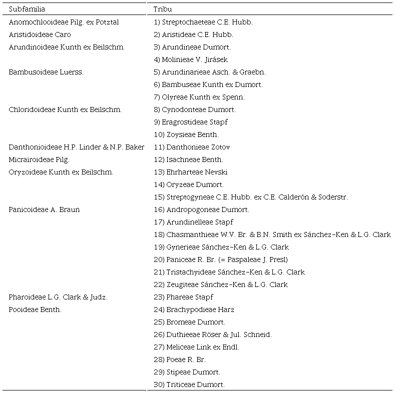 Clasificaci�n de las tribus de Poaceae con representantes en M�xico, de acuerdo con Soreng et al. (2022).