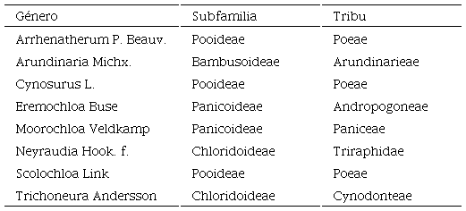 G�neros de Poaceae excluidos de las claves, indicando subfamilia y tribu a las que pertenecen.