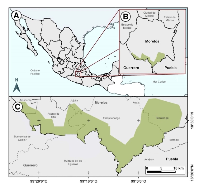 A. ubicaci�n del estado de Morelos en M�xico; B. localizaci�n de la Reserva de la Biosfera Sierra de Huautla en la parte sur de Morelos (en verde); C. acercamiento a la zona de la Reserva de la Biosfera Sierra de Huautla (en verde).