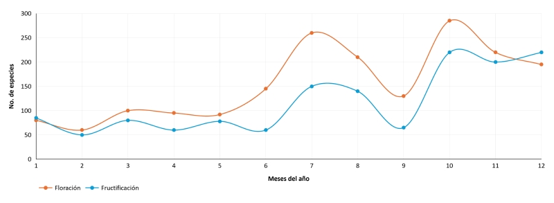 Comportamiento fenol�gico de la flora de la Reserva de la Biosfera Sierra de Huautla, Morelos, M�xico, durante un a�o.