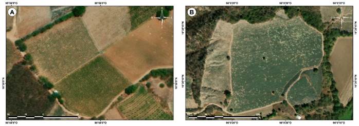 Ejemplo demostrativo en la subcuenca R�o Alto Tehuantepec, Oaxaca, M�xico, de im�genes satelitales del a�o 2022 de una resoluci�n de 0.28 m/p�xel. A. agricultura; B. plantaciones de Agave L.
