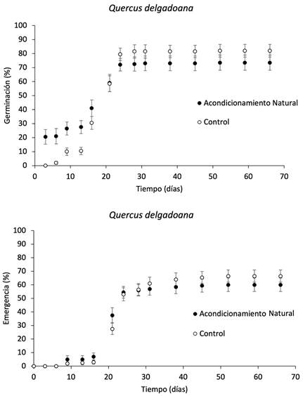 Porcentaje de germinación de semillas (arriba) y emergencia de plántulas (abajo) (promedio ± E.E.) de Quercus delgadoana S. Valencia, Nixon y L.M. Kelly de la localidad de Totoyac, Veracruz, México, en los tratamientos de Acondicionamiento Natural (AN) y Control.
