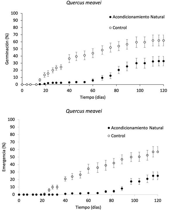 Porcentaje de germinación de semillas (arriba) y emergencia de plántulas (abajo) (promedio ± E.E.) de Quercus meavei S. Valencia, Sabas y O.J. Soto de la localidad de Tetlaxca, Veracruz, México, en los tratamientos de Acondicionamiento Natural y Control.
