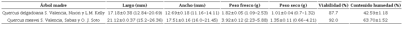 Tamaño, peso, viabilidad y contenido de humedad (promedio ± 1 E.E.). Entre paréntesis se muestran los valores mínimos y máximos registrados de las bellotas de Quercus delgadoana S. Valencia, Nixon y L.M. Kelly, y Quercus meavei S. Valencia, Sabas y O.J. Soto.