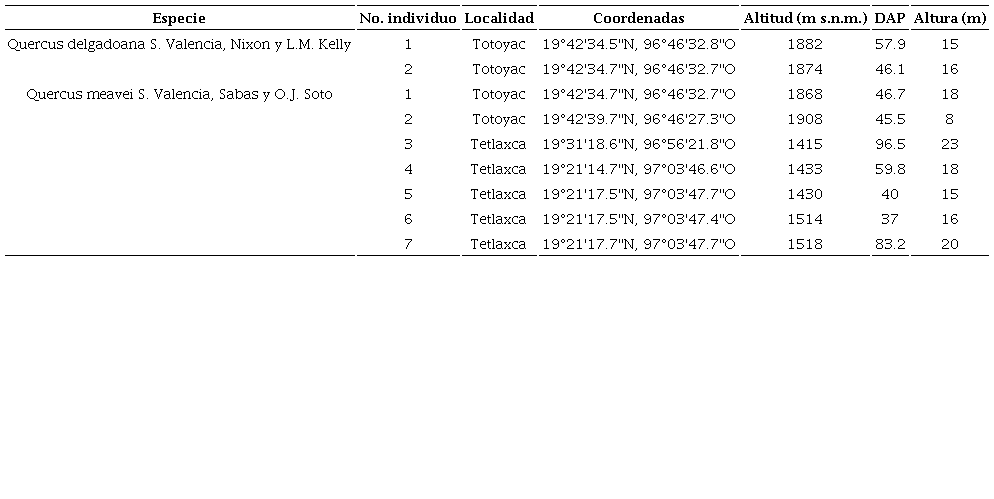 Localización y atributos de los árboles semilleros de Quercus delgadoana S. Valencia, Nixon y L.M. Kelly, y Q. meavei S. Valencia, Sabas y O. J. Soto. DAP=Diámetro a la altura del pecho.