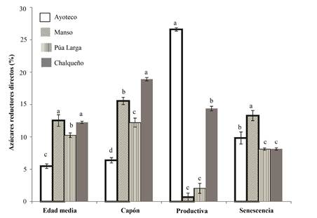 Az�cares reductores directos en cuatro cultivares de Agave salmiana Otto ex Salm-Dyck en cuatro etapas fenol�gicas. Letras distintas indican diferencias significativas (p<0.05), comparaci�n entre etapa fenol�gica.
