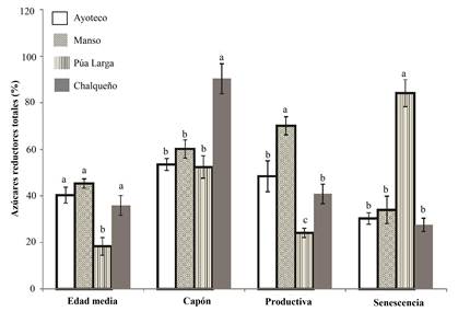 Az�cares reductores totales en cuatro cultivares de Agave salmiana Otto ex Salm-Dyck en cuatro etapas fenol�gicas. Letras distintas indican diferencias significativas (p<0.05), comparaci�n entre etapa fenol�gica.