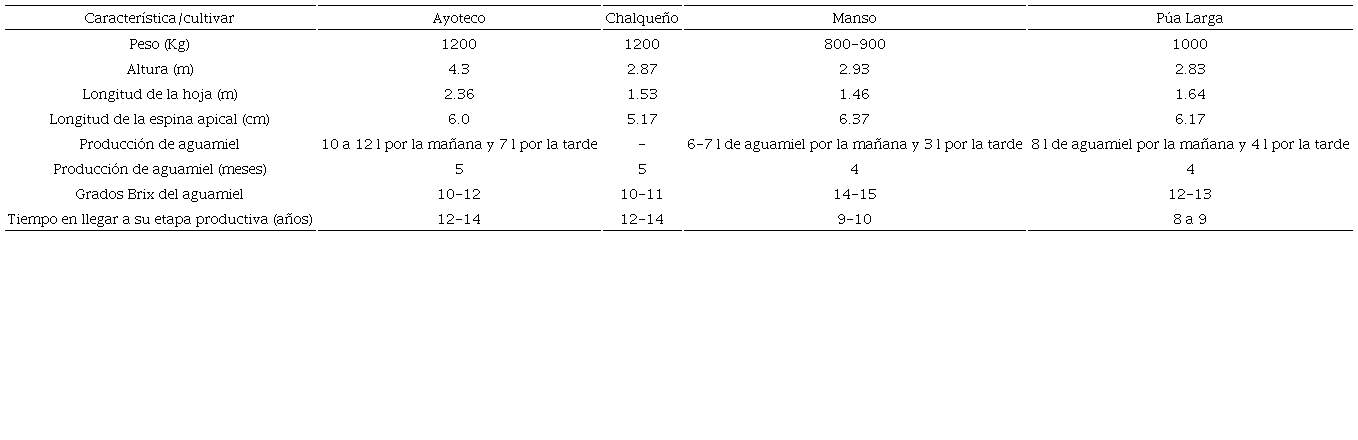 Caracter�sticas de los cultivares de Agave salmiana Otto ex Salm-Dyck predominantes en Tlaxcala, M�xico. (-) No reportado. Tomado de M�rquez-Pallares et al. (2024) y Madrigal et al. (2014).