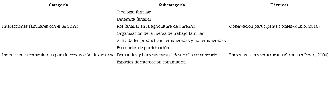 Categor&iacute;as de an&aacute;lisis